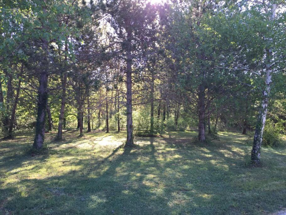 Grande Maison Avec Parc De 6000M2 Pompiey المظهر الخارجي الصورة